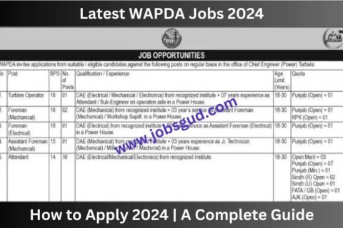 Latest WAPDA Jobs 2024 Apply Online OTS